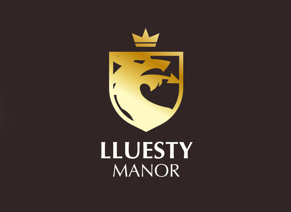 lluesty logo1